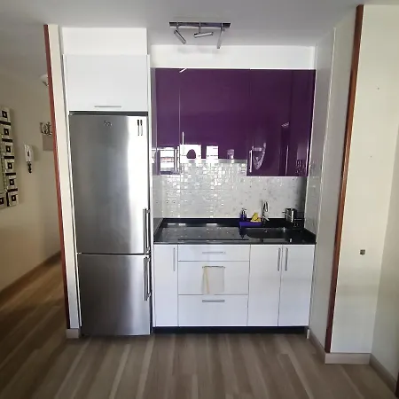 Apartment Piso En Garcia Barbon Vigo